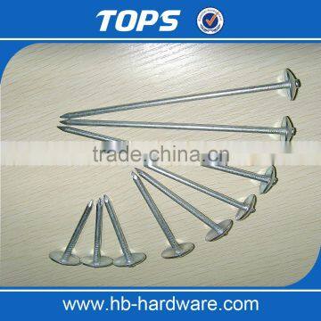 Umbrella Roofing Nails photo-3