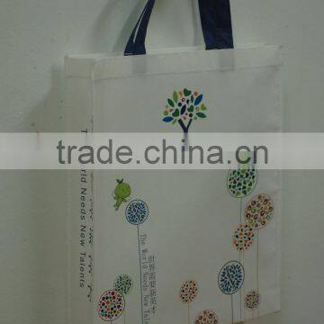 PP woven bag/gift bag/ladies shoulder shopping bag