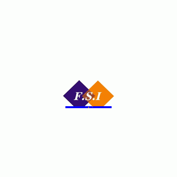 FSI Computers and Electronics Supplier