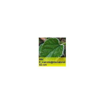 Mulberry Fruit Extract