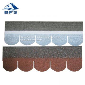 scale asphalt shingle