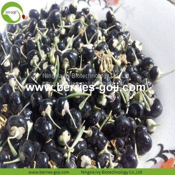 Factory Hot Sale Dried Black Wolfberry photo-2