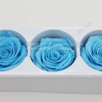 Preserved rose grade  A fresh cut roses from ecuador wholesale longlasting flower