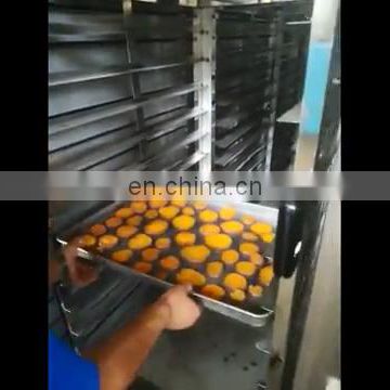 Factory Price Electrical Gas Bread Baking Oven Rotary Bakery Oven Machines for sale