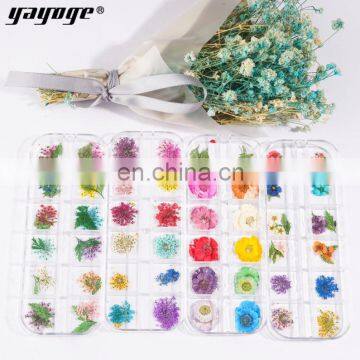 2021 New Arrivals Nail Accessories Natural Dry Flower For Nail Art Decoration photo-4