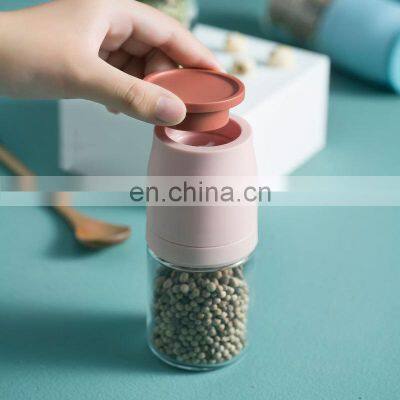 Wholesale 2021 New Arrival Custom Logo Modern 100ml Glass Onion Manual Pepper Grinder photo-4