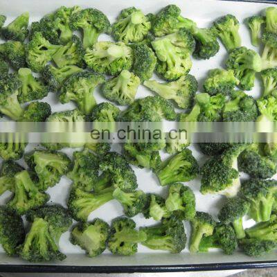 China Supplier of Premium Quality Frozen Broccoli Cuts photo-5