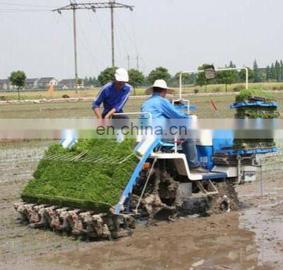 Manual Portable Rice Planting Machine/paddy Planter/high Speed Rice Planter photo-3