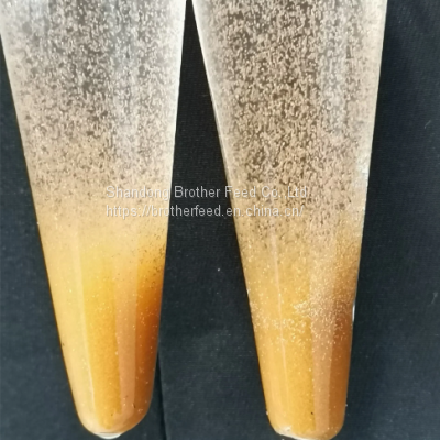 China Supplier Artemia Cysts BBS Brine Shrimp Eggs Bohai Bay Eggs 100% Pure Natural Fish Feed photo-4