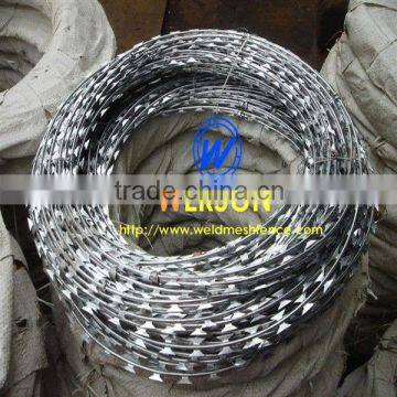 Werson Hot Dipped Galvanized Welding Concertina Wire photo-6