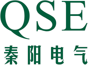 Xi'an Qinyang Electric Co., Ltd