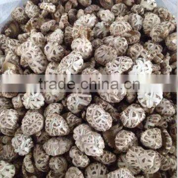 dried white flower mushroom