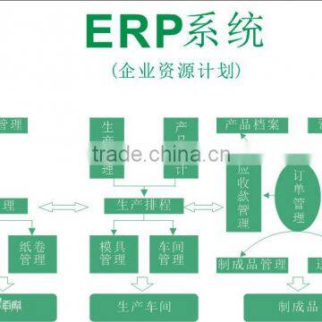 ERP Customization photo-2