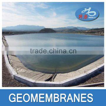 High Quality Fish and Shrimp Farm Hdpe Geomembrane photo-2