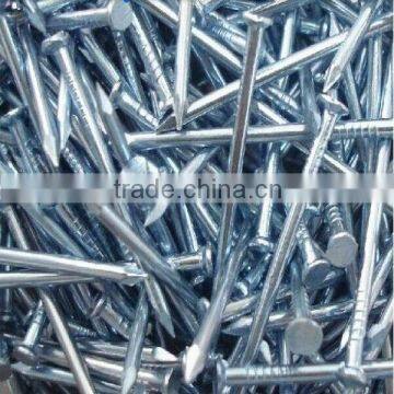 Galvanized common round wire nail