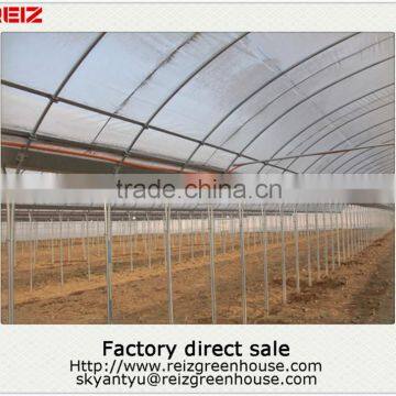 Low Cost greenhouse farming equipment