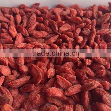 Health Food Goji Berry from Ning Xia Origin