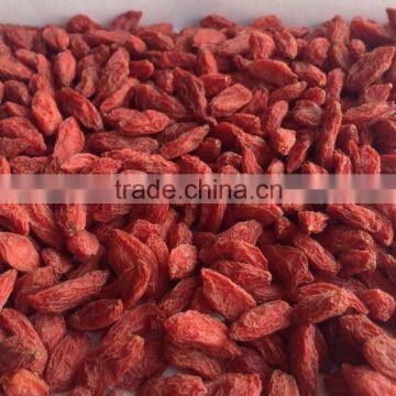 Ningxia Goji Berry