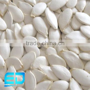 new crop snow white pumkin seed