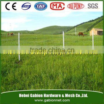 High Quality Cattle Fence/ Welded Cattle Fence/ Galvanized Steel Cattle Fence