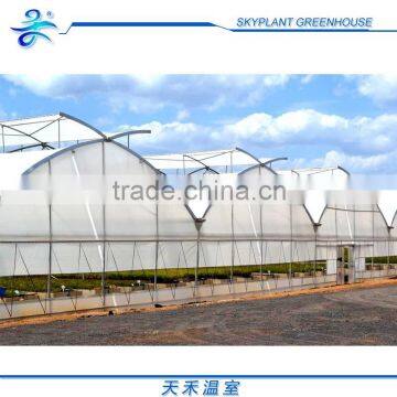 Hot Sale Plastic Film Greenhouse, Vegetables Greenhouse photo-4
