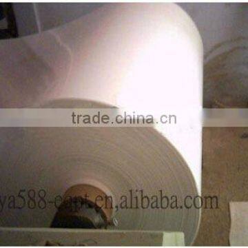 Full automatic PP Manure Belts for Chicken Farm