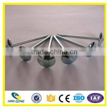 Smooth Shank Roofing Nail High Quality Made in China photo-4