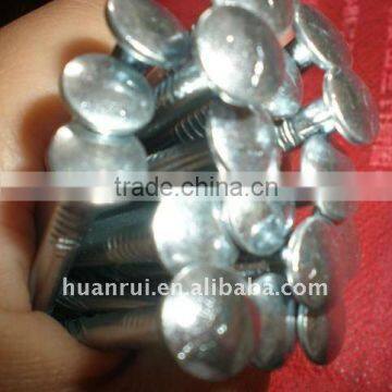 75mm screw nails head