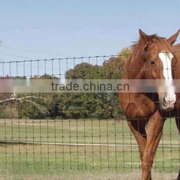 horse farm fence