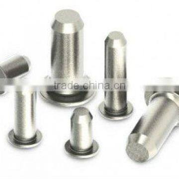 Stainless Steel Pilot Pins,Pilot Pins