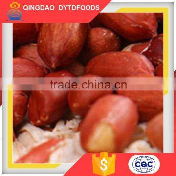 Top Quality Bulk Red Skin Roasted Peanuts From China