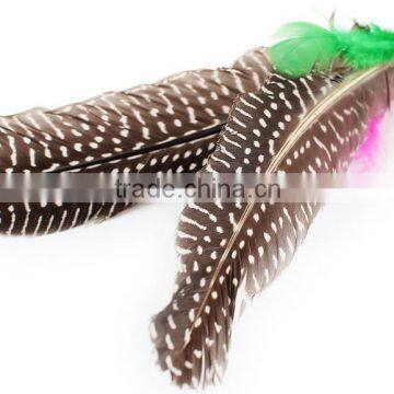 QQpet Telescoping Cat Wand With Replace Feather Toys for Cats