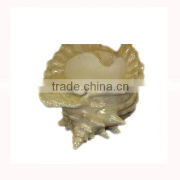 Animated brand new ceramic carved conch shells