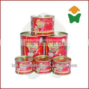 High Quality Tomato Paste Production 210gx48tins photo-2