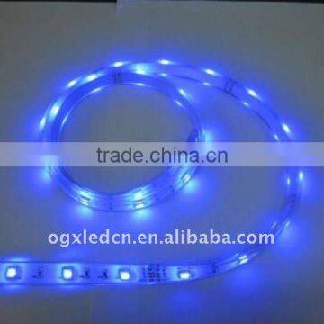 IP67 silicon tube waterproof 5050 blue 30LEDs/m 5m/roll 12V LED strip light wholesale and retail