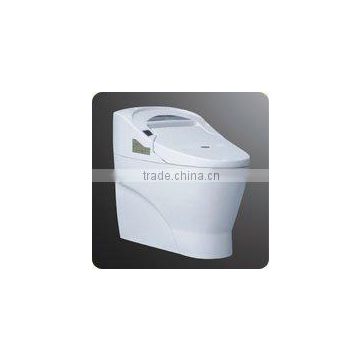 Ceramic Electronic Toilet Seat DI736A