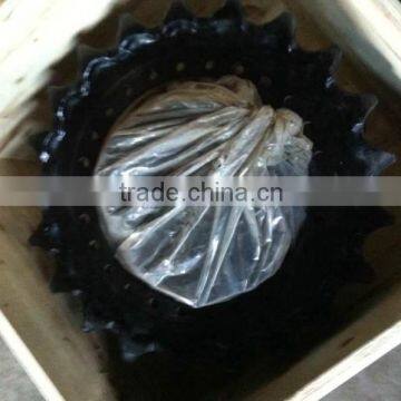 Kobelco SK300 Final Drive Assy, Kobelco Travel Motor, Kobelco Sk300-8 Track l Device Motor