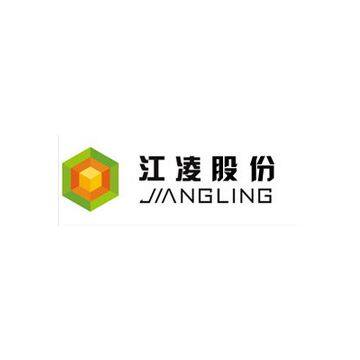 Jiangsu Jiangling Measurement