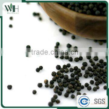 Vietnam Organic Black Pepper Pgi-570 With International Price photo-3