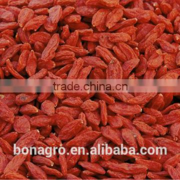 NingXia Goji Berry