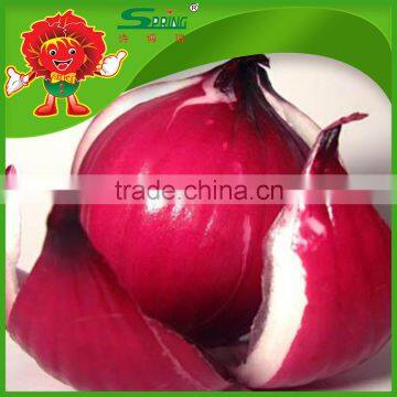 cheap onion from China color red and yellow types red onions