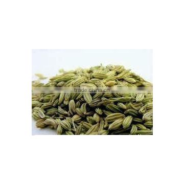 Fennel Seed