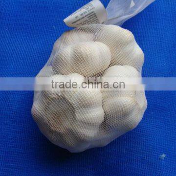 Chinese white garlic in 500g