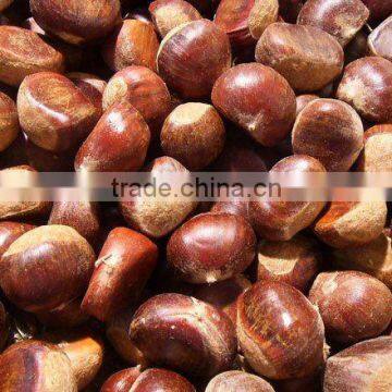 Fresh Chestnut