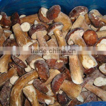 Chinese wild mushroom