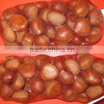 Fresh Chestnut
