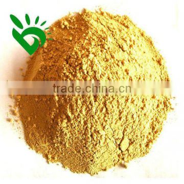 Dehydrated Yellow Ginger Powder