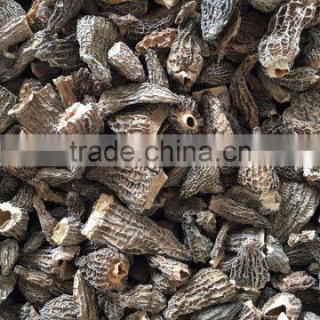 Dried Morels (morchella conica)