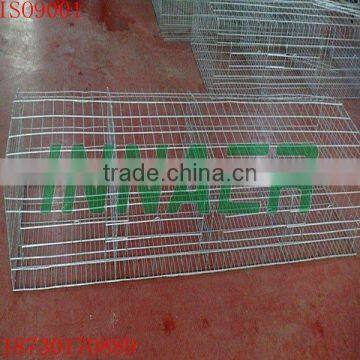 Supply Innaer Broiler Chicken Farm House(ISO9001) for Poultry Farming