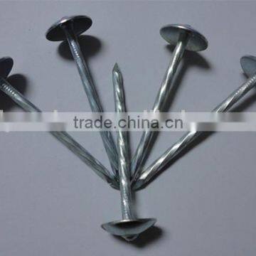 2.5 Inch Umbrella Head Roofing Nail Twisted Shank Roofing Nail Factory Price photo-4